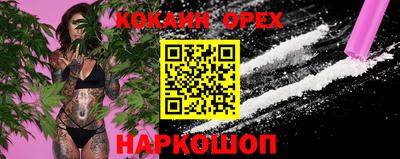 прущие грибы Рузаевка