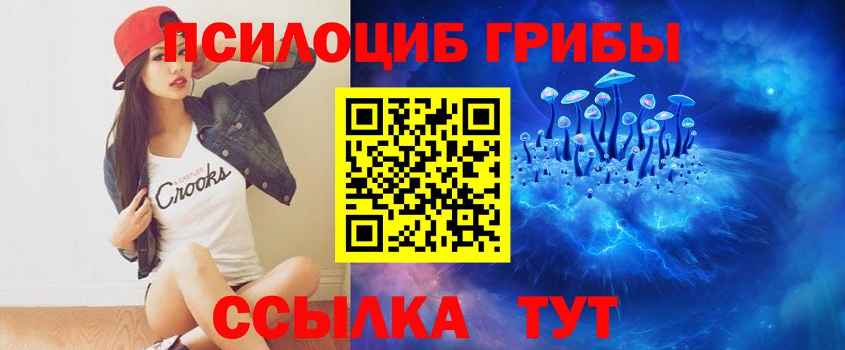 Галлюциногенные грибы GOLDEN TEACHER Прокопьевск